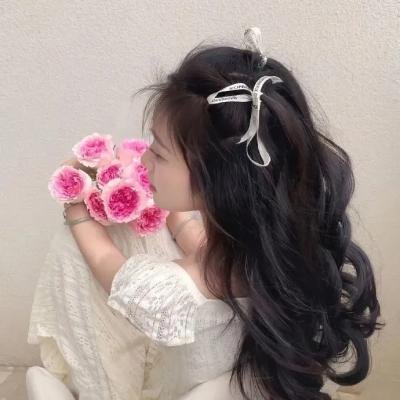 妙贼追凶
